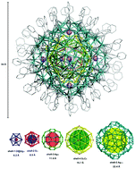 Graphical abstract: Chloride assisted supramolecular assembly of a luminescent gigantic cluster: [Ag216S56Cl7(C [[triple bond, length as m-dash]] CPh)98(H2O)12]− with pseudo-Th skeleton and five-shell arrangement
