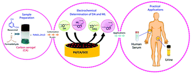 Graphical abstract: Facile and novel synthesis of palladium nanoparticles supported on a carbon aerogel for ultrasensitive electrochemical sensing of biomolecules