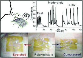 Graphical abstract: Transparent, flexible, and stretchable WS2 based humidity sensors for electronic skin