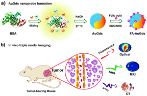 Graphical abstract: AuGd integrated nanoprobes for optical/MRI/CT triple-modal in vivo tumor imaging