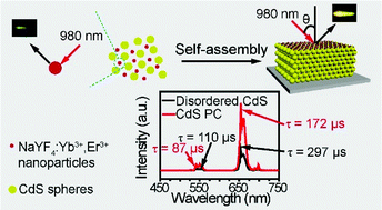 Graphical abstract: Manipulating the emission intensity and lifetime of NaYF4:Yb3+,Er3+ simultaneously by embedding it into CdS photonic crystals