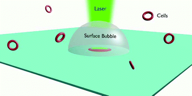 Graphical abstract: An optothermally generated surface bubble and its applications