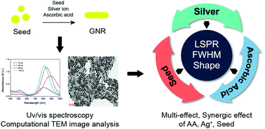 Graphical abstract: Systematic study of interdependent relationship on gold nanorod synthesis assisted by electron microscopy image analysis