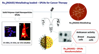 Graphical abstract: Diruthenium(ii,iii) metallodrugs of ibuprofen and naproxen encapsulated in intravenously injectable polymer–lipid nanoparticles exhibit enhanced activity against breast and prostate cancer cells