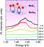 Graphical abstract: Thermal dissociation of inter-layer excitons in MoS2/MoSe2 hetero-bilayers