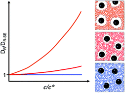 Graphical abstract: Scale-dependent rotational diffusion of nanoparticles in polymer solutions