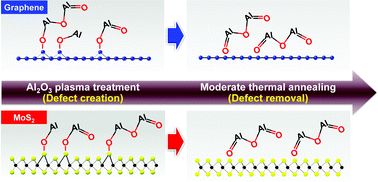 Graphical abstract: Controlled defect creation and removal in graphene and MoS2 monolayers
