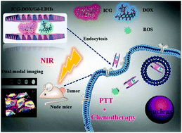 Graphical abstract: An NIR-sensitive layered supramolecular nanovehicle for combined dual-modal imaging and synergistic therapy