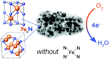 Graphical abstract: The role of iron nitrides in the Fe–N–C catalysis system towards the oxygen reduction reaction