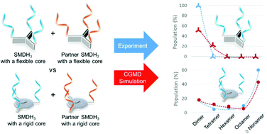 Graphical abstract: The competing effects of core rigidity and linker flexibility in the nanoassembly of trivalent small molecule-DNA hybrids (SMDH3s)–a synergistic experimental-modeling study