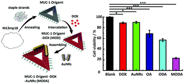 Graphical abstract: DNA origami/gold nanorod hybrid nanostructures for the circumvention of drug resistance