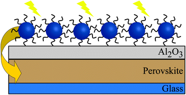 Graphical abstract: Energy transfer from colloidal nanocrystals to strongly absorbing perovskites