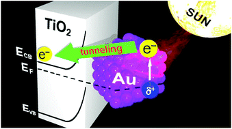 Graphical abstract: Quantum tunneling injection of hot electrons in Au/TiO2 plasmonic photocatalysts