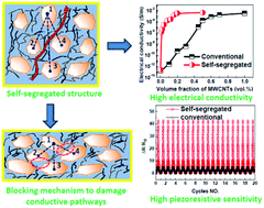 Graphical abstract: Enhanced electrical conductivity and piezoresistive sensing in multi-wall carbon nanotubes/polydimethylsiloxane nanocomposites via the construction of a self-segregated structure