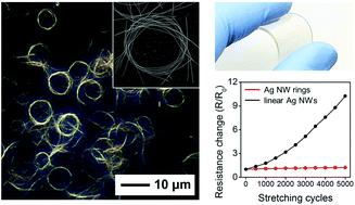 Graphical abstract: Curving silver nanowires using liquid droplets for highly stretchable and durable percolation networks