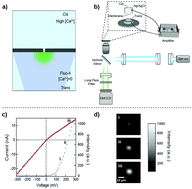 Graphical abstract: Real-time visualization and sub-diffraction limit localization of nanometer-scale pore formation by dielectric breakdown