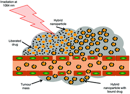 Graphical abstract: Thermally triggered theranostics for pancreatic cancer therapy