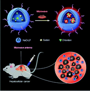 Graphical abstract: Liposomes loading sodium chloride as effective thermo-seeds for microwave ablation of hepatocellular carcinoma