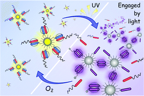 Graphical abstract: Photo-induced interfacial electron transfer of ZnO nanocrystals to control supramolecular assembly in water
