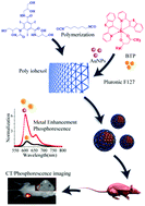 Graphical abstract: Highly efficient dual-modal phosphorescence/computed tomography bioprobes based on an iridium complex and AuNP polyiohexol composite nanoparticles