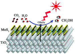 Graphical abstract: Construction of unique two-dimensional MoS2–TiO2 hybrid nanojunctions: MoS2 as a promising cost-effective cocatalyst toward improved photocatalytic reduction of CO2 to methanol