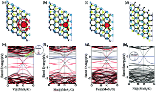 Graphical abstract: Half-metallic properties of 3d transition metal atom-intercalated graphene@MS2 (M = W, Mo) hybrid structures