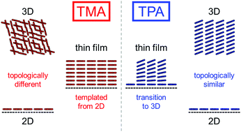 Graphical abstract: Monolayer-to-thin-film transition in supramolecular assemblies: the role of topological protection