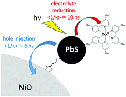 Graphical abstract: Size dependence of efficiency of PbS quantum dots in NiO-based dye sensitised solar cells and mechanistic charge transfer investigation