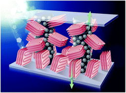 Graphical abstract: A new strategy to engineer polymer bulk heterojunction solar cells with thick active layers via self-assembly of the tertiary columnar phase
