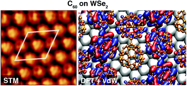 Graphical abstract: Rotational superstructure in van der Waals heterostructure of self-assembled C60 monolayer on the WSe2 surface