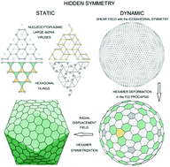 Graphical abstract: Static and dynamic hidden symmetries of icosahedral viral capsids