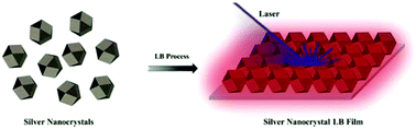 Graphical abstract: Highly oriented Langmuir–Blodgett film of silver cuboctahedra as an effective matrix-free sample plate for surface-assisted laser desorption/ionization mass spectrometry