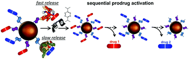 Graphical abstract: Single-trigger dual-responsive nanoparticles for controllable and sequential prodrug activation