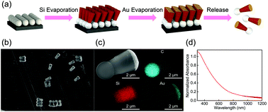 Graphical abstract: Visible-light driven Si–Au micromotors in water and organic solvents