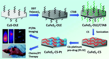 Graphical abstract: cis-Platinum pro-drug-attached CuFeS2 nanoplates for in vivo photothermal/photoacoustic imaging and chemotherapy/photothermal therapy of cancer