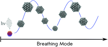 Graphical abstract: Plasmon-driven sub-picosecond breathing of metal nanoparticles