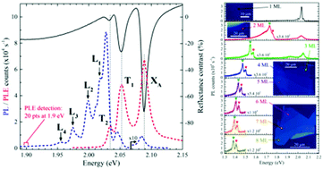 Graphical abstract: The optical response of monolayer, few-layer and bulk tungsten disulfide