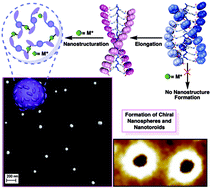Graphical abstract: The role of the secondary structure of helical poly(phenylacetylene)s in the formation of nanoparticles from polymer–metal complexes (HPMCs)