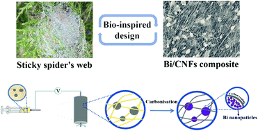 Graphical abstract: Bio-inspired spider-web-like membranes with a hierarchical structure for high performance lithium/sodium ion battery electrodes: the case of 3D freestanding and binder-free bismuth/CNF anodes