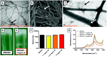 Graphical abstract: Temporally controlled growth factor delivery from a self-assembling peptide hydrogel and electrospun nanofibre composite scaffold