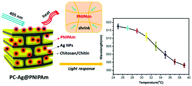 Graphical abstract: A bioinspired poly(N-isopropylacrylamide)/silver nanocomposite as a photonic crystal with both optical and thermal responses