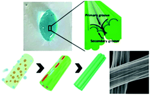 Graphical abstract: Double-grooved nanofibre surfaces with enhanced anisotropic hydrophobicity