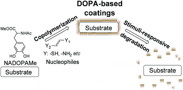 Graphical abstract: A one step method for the functional and property modification of DOPA based nanocoatings