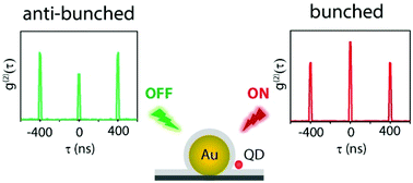 Graphical abstract: Excitation wavelength dependent photon anti-bunching/bunching from single quantum dots near gold nanostructures