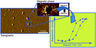 Graphical abstract: Single nanoparticles magnetization curves by controlled tip magnetization magnetic force microscopy