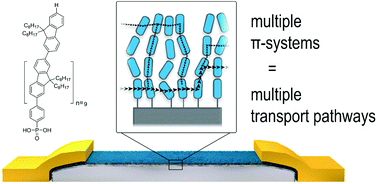 Graphical abstract: Self-assembled monolayer field-effect transistors based on oligo-9,9′-dioctylfluorene phosphonic acids