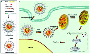 Graphical abstract: Redox-triggered activation of nanocarriers for mitochondria-targeting cancer chemotherapy