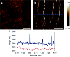 Graphical abstract: Wrinkling formation in simply-supported graphenes under tension and compression loadings