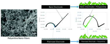 Graphical abstract: Metal–polymer interface influences apparent electrical properties of nano-structured polyaniline films