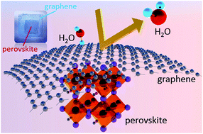 Graphical abstract: Stabilization of hybrid perovskite CH3NH3PbI3 thin films by graphene passivation